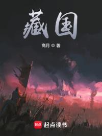 藏国封面